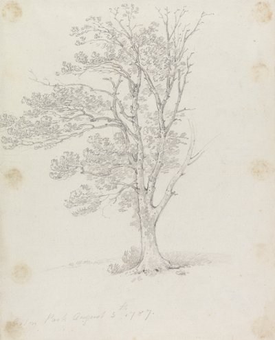 伊斯顿公园的树 作者 George Howland Beaumont 爵士第七世男爵