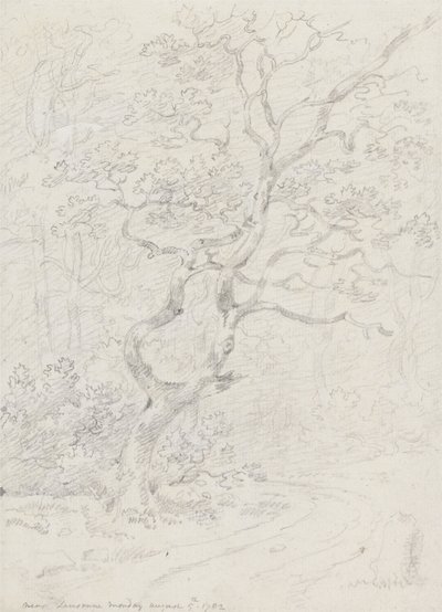 洛桑附近的树木 作者 George Howland Beaumont 爵士第七世男爵