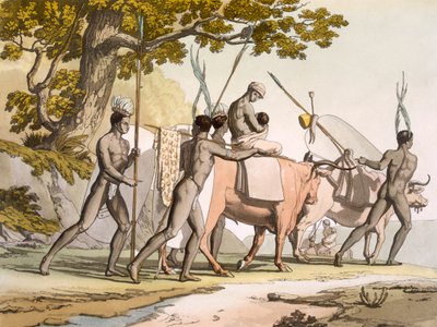 开普省的科拉霍屯督人在行动，第二卷，约1820-40年。 作者 约翰·巴罗爵士