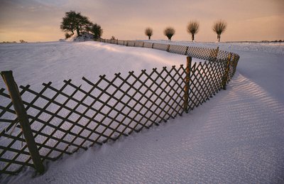 2022 年，丹麦埃尔韦尔霍伊附近冬雪中的维京古墓（照片） 作者 西塞·布林伯格