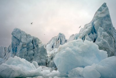 2022 年，挪威斯匹次卑尔根岛附近北极海域的冰山（照片） 作者 西塞·布林伯格