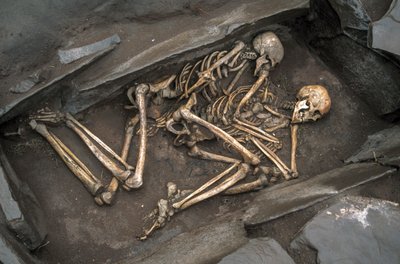 两名斯基泰人的骸骨躺在阿尔占-2 号距今 3000 年的墓穴中，2003 年（照片） 作者 西塞·布林伯格