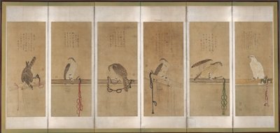 拴住的鹰，1606年前。 作者 曾我长宽