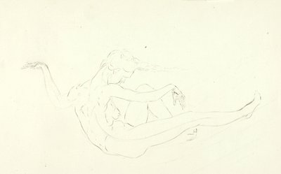 裸泳 作者 梭伦·H·博格勒姆