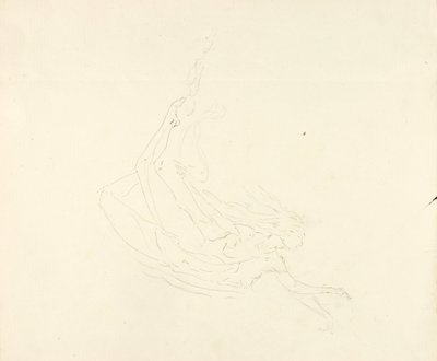 裸泳 作者 梭伦·H·博格勒姆
