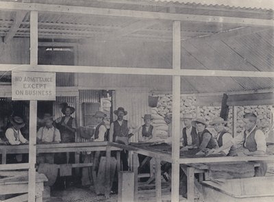 Diamond Sorting, Wesselton Mine (b/w photo) 作者 南非摄影师
