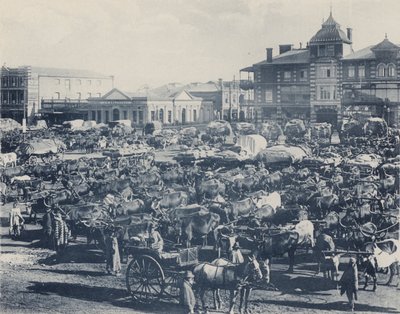 Early Morning Market (b/w photo) 作者 南非摄影师