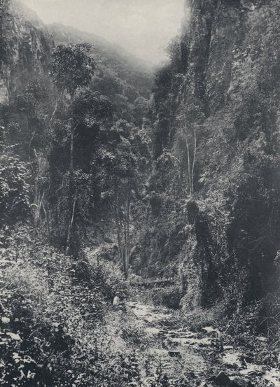 朝圣者休息处附近的场景（黑白照片） 作者 南非摄影师