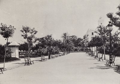 加的斯：Alameda de Apodaca（黑白照片）。 作者 西班牙摄影师