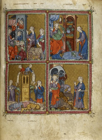Add.27210，f.12v 出埃及记场景：虱子、青蛙、鼠疫和瘟疫之灾，插图选自 "金色哈加达"（牛皮纸上的墨水、彩色和金色）。 作者 西班牙语学校