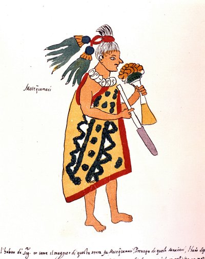 Aztec priest in Codex Vaticanus 3738 (Codex Vat. Rios). Facsimile of the manuscript by Dominican Pedro de los Rios, between 1570 and 1589, Bibl. Vatican. 作者 西班牙语学校