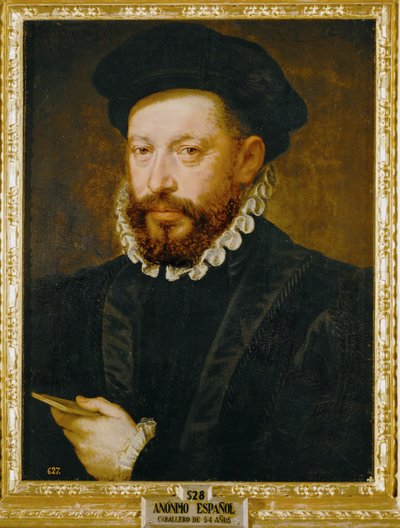 弗朗西斯科-德洛斯-科博斯（Francisco de los Cobos），卡尔五世皇帝的秘书和参赞...... 作者 西班牙语学校