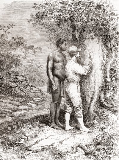 Jules Crevaux在1878年探索法属圭亚那期间，在Oyapock或Oiapoque河岸的一棵树上雕刻他的首字母 作者 西班牙语学校
