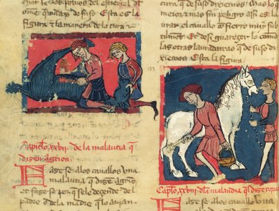 Ms 214 fol.38r治疗马厩马，来自Libro de Menescalcia y Albeyteria by Juan Alvarez，c.1390 作者 西班牙语学校