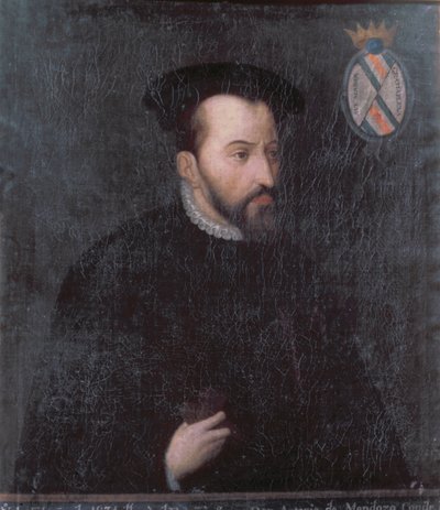 安东尼奥·德·门多萨肖像，c.1534（布面油画） 作者 西班牙语学校