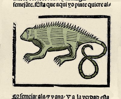 鬣蜥的表示。 来自 Gonzalo Fernandez de Oviedo (Gonzalo) 或 Fernandez de, ou Hernandez de Oviedo y Valdes (1478-1557) 作者 西班牙语学校