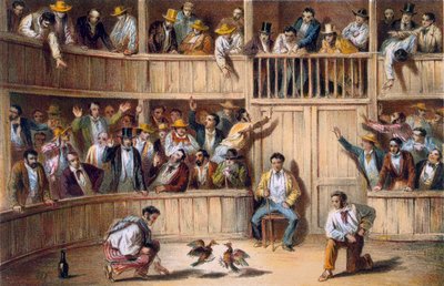 古巴瓦拉德加洛斯（彩色石版画） 作者 西班牙语学校