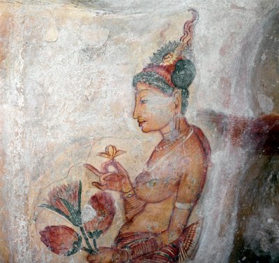 女仆的看法 作者 斯里兰卡学校