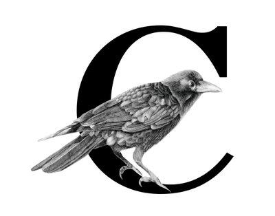 C 代表乌鸦，2018（石墨铅笔和数字） 作者 徐静雯
