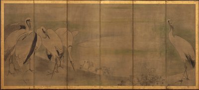 鹤和菊花，桃山或江户时期，1568-1868。 作者 宗达