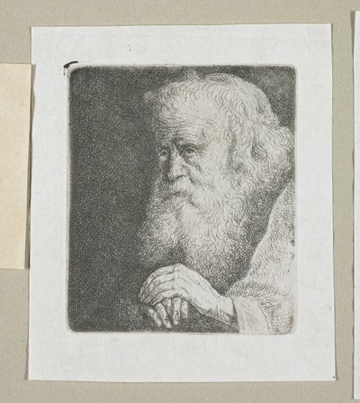 白胡子老人的半身像 作者 Stefan Juliusz Norblin de la Gourdaine