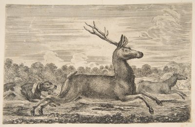 追逐鹿和母鹿的猎犬，ca。 1654年。 作者 斯蒂法诺·德拉·贝拉