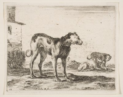 图11：狗，来自各种动物Diversi animali，ca. 1641。 作者 斯蒂法诺·德拉·贝拉
