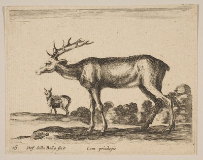 图16：雄鹿，来自各种动物Diversi animali，ca。 1641。 作者 斯蒂法诺·德拉·贝拉