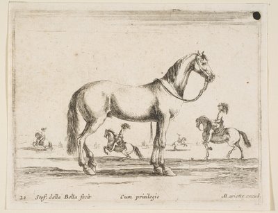 图21：马，来自各种动物Diversi animali，1641。 作者 斯蒂法诺·德拉·贝拉