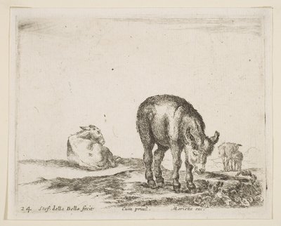 图24：驴，来自各种动物Diversi animali，ca. 1641。 作者 斯蒂法诺·德拉·贝拉