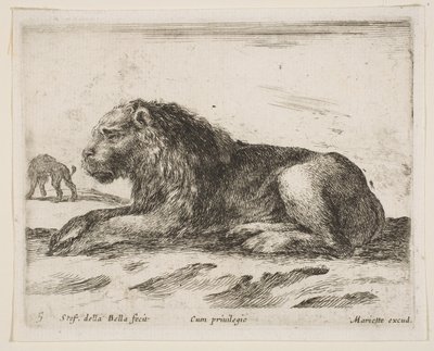 图5：卧狮，来自各种动物Diversi animali，1641。 作者 斯蒂法诺·德拉·贝拉
