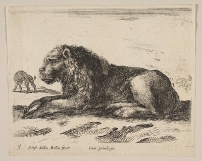 图5：卧狮，来自各种动物Diversi animali，ca. 1641。 作者 斯蒂法诺·德拉·贝拉