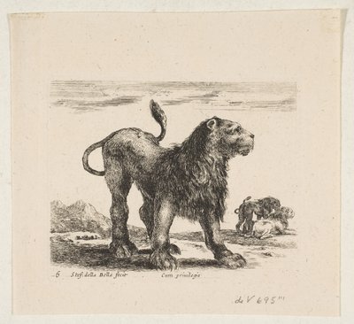图版6：狮子，出自《各种动物》Diversi animali，约1641年。 作者 斯蒂法诺·德拉·贝拉
