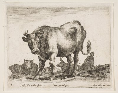 图8：牛，来自各种动物Diversi animali，ca。 1641。 作者 斯蒂法诺·德拉·贝拉