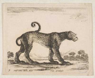 图版9：豹子，出自《各种动物》Diversi animali，约1641年。 作者 斯蒂法诺·德拉·贝拉