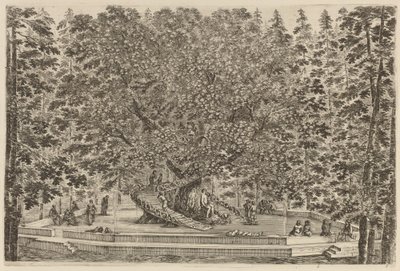 栖息的树》，可能是1653年。 作者 斯蒂法诺·德拉·贝拉