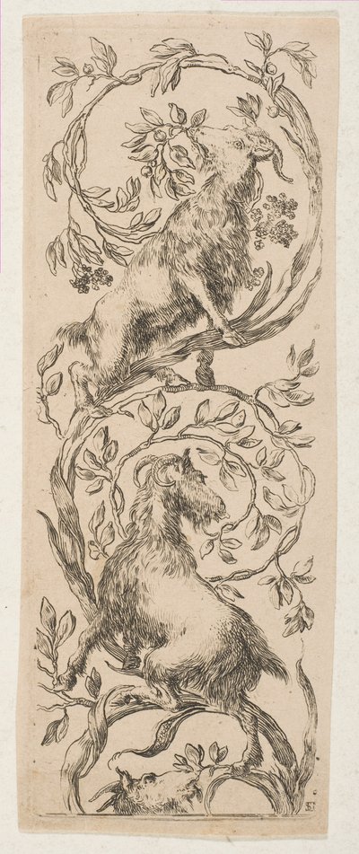 两只山羊在啃树枝，约1653年。 作者 斯蒂法诺·德拉·贝拉