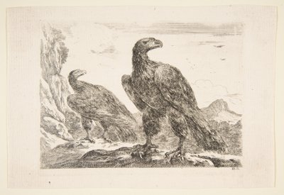 两只老鹰，出自《老鹰》Les aigles，约1651年。 作者 斯蒂法诺·德拉·贝拉
