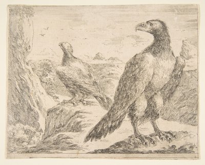 两只老鹰，来自Eagles Les aigles，ca。 1651。 作者 斯蒂法诺·德拉·贝拉