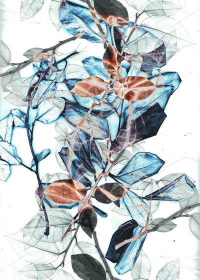 弗雷尔 X，2018 年（数字） 作者 史蒂芬·道