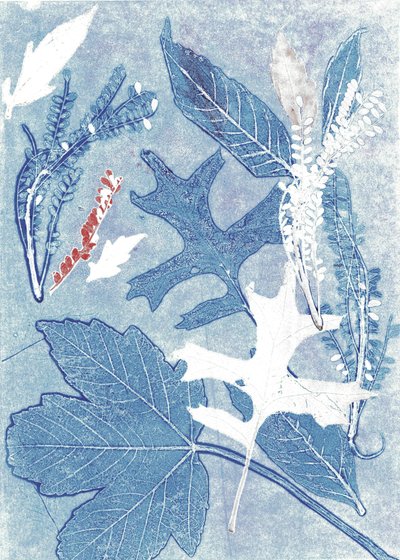 乔尔 II》，2017 年（纸上单版画） 作者 史蒂芬·道