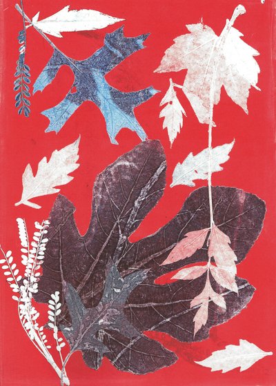 Jol XII，2017（纸上单版画） 作者 史蒂芬·道