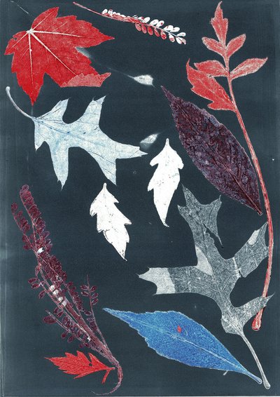 乔尔 X》，2017 年（纸上单版画） 作者 史蒂芬·道