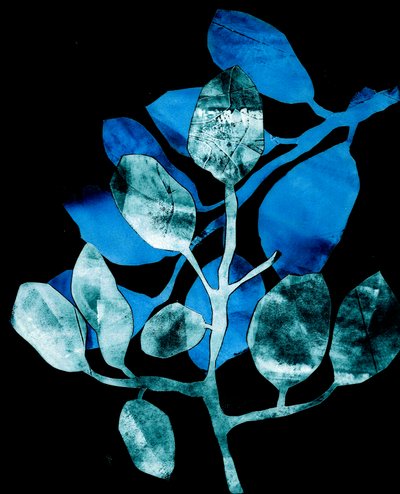 夜花园》，2017 年（数字，取自拼贴画） 作者 史蒂芬·道