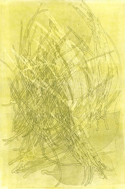 夏日花园 V》，2015 年（纸上单版画） 作者 史蒂芬·道