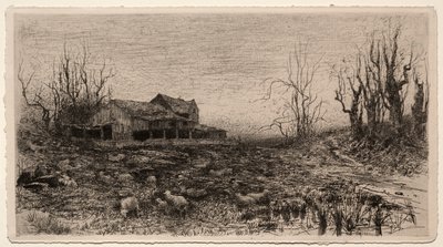 1880年11月。 作者 史蒂芬·帕里什