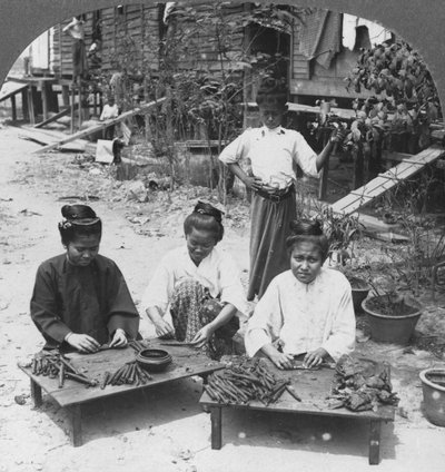 制作女性抽烟的大雪茄，缅甸，1908年 作者 立体声旅行社