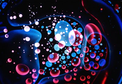 多元宇宙》第 4 期，2024 年 作者 史蒂夫·帕夫洛夫斯基