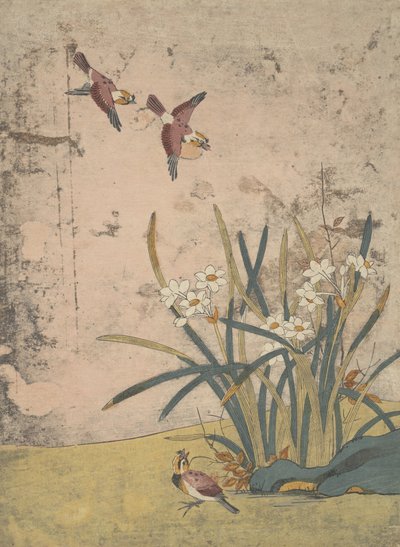 鸟和水仙。 作者 铃木春信