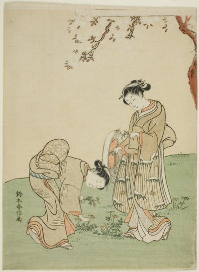采集春花 作者 铃木春信